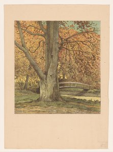 Fa a patak mellett ősszel alkotó: Simon Moulijn (attributed to)
