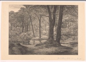 Kilátás a Hunnenschanokra a Veluwe-n The Hunnenshang (eredeti cím)