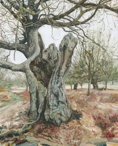 Öreg fa, Richmond Park, 2018 (olaj, vászon) alkotó: Simon Neville