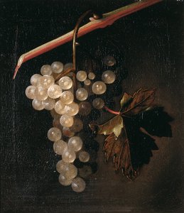 Egy fürt szőlő a kőfal előtt, 1709