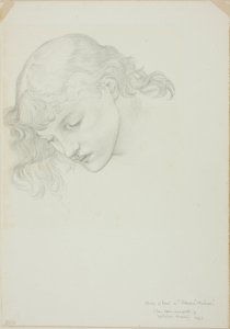 Fej, Vénusz tükör tanulmánya alkotó: Sir Edward Burne Jones