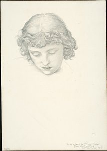 Tanulmány a Vénusz tükréhez: Fej alkotó: Sir Edward Burne Jones