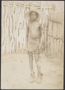 A civilizáció hajnala alkotó: Sir Henry Harry Hamilton Johnston