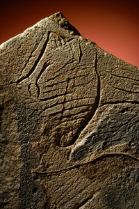 Egy őskori mészkő rejtekhelyen talált emberi profil elegáns metszete. alkotó: Sisse Brimberg