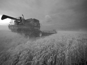 Amerikai Egyesült Államok, Kansas: Kansas, 2022 (fénykép)