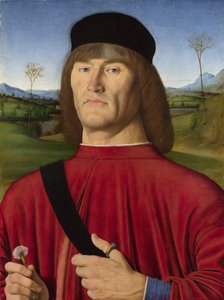 Rózsaszín férfi, c. 1495 alkotó: Solari