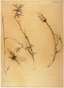 Ágazatok alkotó: Solon H. Borglum