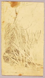 Lombozat alkotó: Solon H. Borglum