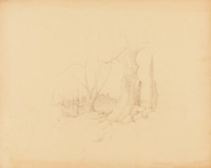 Tájkép alkotó: Solon H. Borglum