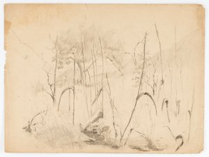 Tájkép alkotó: Solon H. Borglum