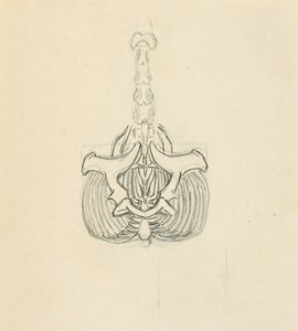 Medence alkotó: Solon H. Borglum