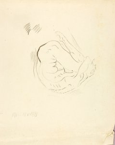 Úszó alkotó: Solon H. Borglum