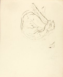 Úszó alkotó: Solon H. Borglum