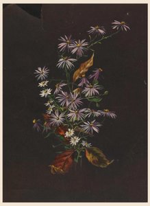 Őszi csokor, kb. 1890