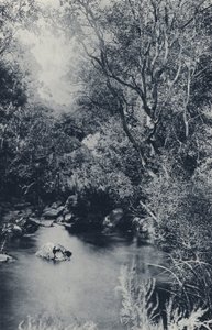 Tündérjelenet, Witpoortje közelében (f/w fotó) alkotó: South African Photographer