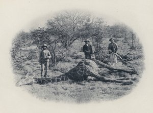 Nagyvadvadászat a Transvaalban (f/w fotó) alkotó: South African Photographer