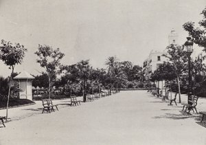Cádiz: Alameda de Apodaca (f/w fotó)
