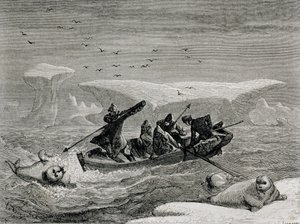 Vadászat rozmárra szigonnyal a Spitzbergákon, Svalbard szigetvilág, illusztráció a „Visszatérés a világba” című filmből, 1865 alkotó: Spanish School