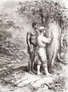 Jules Crevaux, amikor 1878-ban felfedezte Francia Guyanát, az Oyapock vagy az Oiapoque folyó partján lévő fára faragta kezdőbetűit. alkotó: Spanish School