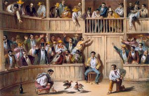 Valla de Gallos, Kuba (színes litográfia) alkotó: Spanish School