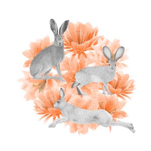 Jack Rabbits, 2021 (grafitceruza és digitális)