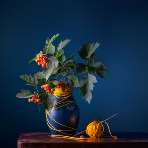Galagonya-bogyók és fonal