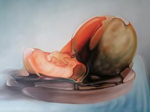  alkotó: Stefano Mazzolini