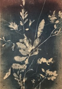 Vintage kék botanikai motívumok