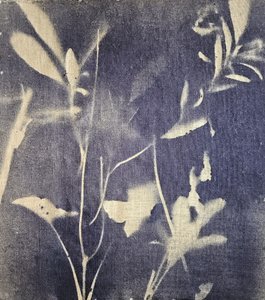 Vintage botanikai kékek