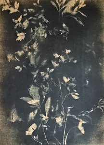 Vintage botanikai levelek alkotó: Stefano Mazzolini