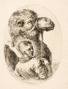 Fiú, aki egy tevét tart a kantárnál, a Many Heads Coiffées à la Persienne-ből, kocsmából. vs. 1650 (metszet) alkotó: Stefano della Bella