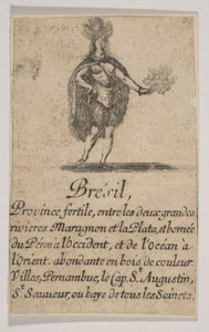Brazília, 1644. alkotó: Stefano della Bella