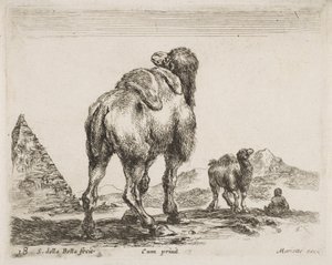 Teve hátulról nézve, kocsma. 1641 a Diversi Animaliból