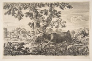 Szarvasvadászat, az Állatvadászatból Vadászatok különböző állatokra, kb. 1654. alkotó: Stefano della Bella