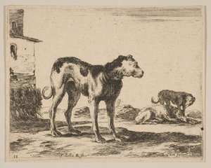 11. tábla: kutyák, különböző állatokból Diversi animali, kb. 1641. alkotó: Stefano della Bella