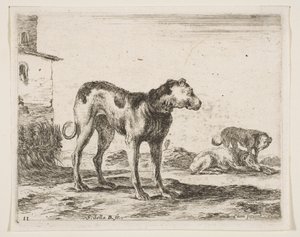 11. tábla: kutyák, különböző állatokból Diversi animali, kb. 1641. alkotó: Stefano della Bella