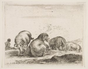 12. tábla: juhok és kosok a legelőn, különféle állatokból Diversi animali, kb. 1641. alkotó: Stefano della Bella