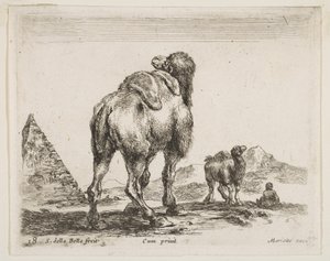 18. tábla: teve hátulról szemlélve, bal oldalon piramis, különböző állatokról Búvár..., kb. 1641. alkotó: Stefano della Bella