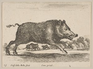 19. tábla: vaddisznó, különböző állatokból Diversi animali, kb. 1641. alkotó: Stefano della Bella