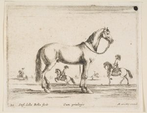 21. tábla: ló, Különféle állatokból Diversi animali, 1641. alkotó: Stefano della Bella