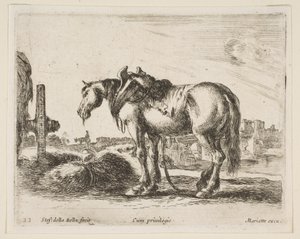 22. tábla: szekér ló, különböző állatokból Diversi animali, kb. 1641. alkotó: Stefano della Bella