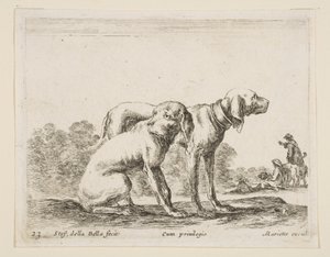 23. tábla: két vadászkutya, különféle állatokból Diversi animali, kb. 1641. alkotó: Stefano della Bella