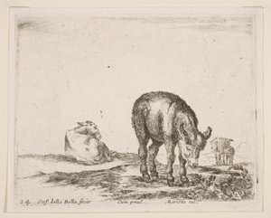 24. tábla: szamarak, különféle állatokból Diversi animali, kb. 1641. alkotó: Stefano della Bella