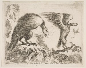 2. tábla: sas és sasfióka, különféle állatokból Diversi animali, kb. 1641. alkotó: Stefano della Bella