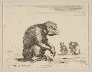 3. tábla: ülő majom, különféle állatokból Diversi animali, kb. 1641. alkotó: Stefano della Bella