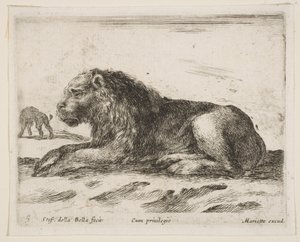 5. tábla: fekvő oroszlán, Különféle állatokból Diversi animali, 1641. alkotó: Stefano della Bella