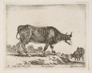 7. tábla: ökör, különböző állatokból Diversi animali, kb. 1641.
