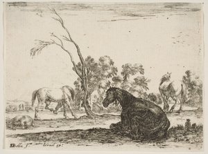 8. tábla: jobbra egy ülő ló, hátulról nézve és balra fordulva, három másik hor..., 1642.
