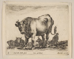 8. tábla: ökör, a „Különböző állatok”-ból Diversi animali, kb. 1641. alkotó: Stefano della Bella