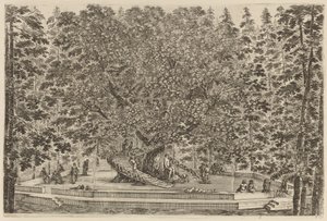 A lakott fa, valószínűleg 1653. alkotó: Stefano della Bella